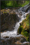 UAD3_4901v_BHS_Cascade_spx_psp_4v.jpg (190273 bytes)