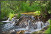 UAD3_4904_BHS_Springs_spx_psp_5v.jpg (372450 bytes)