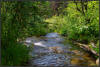 UAD3_4906_BHS_Creek_spx_psp_4v_Vers3.jpg (416527 bytes)