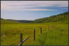 UAD3_4920_Meadow_spx_psp_3v.jpg (154759 bytes)